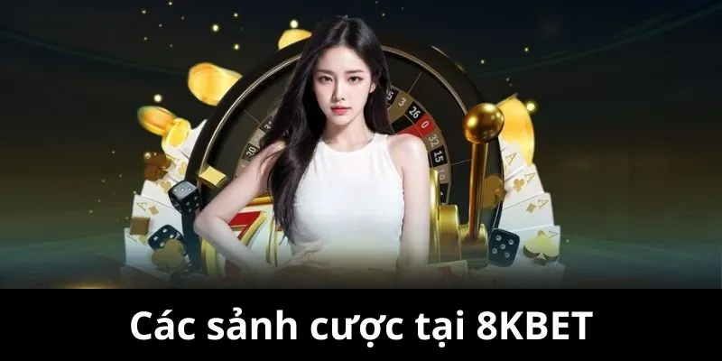 sảnh cá cược 8kbet