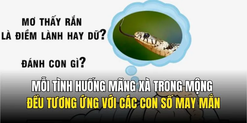 Mỗi tình huống mãng xà