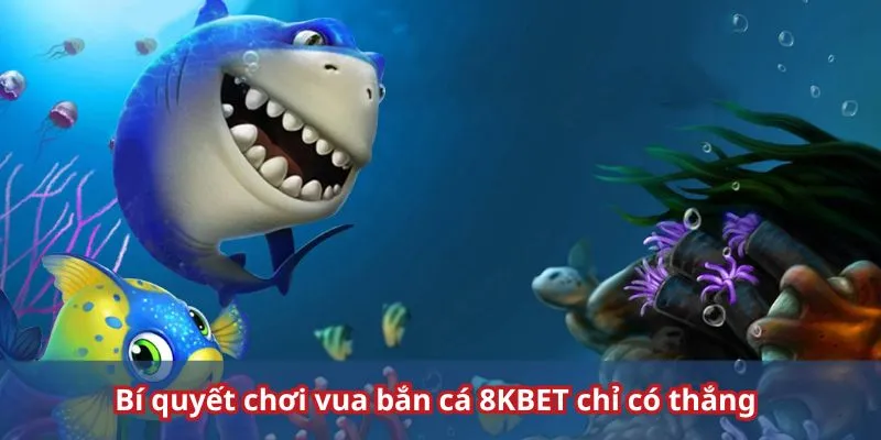 Tuyệt chiêu săn cá cực đỉnh